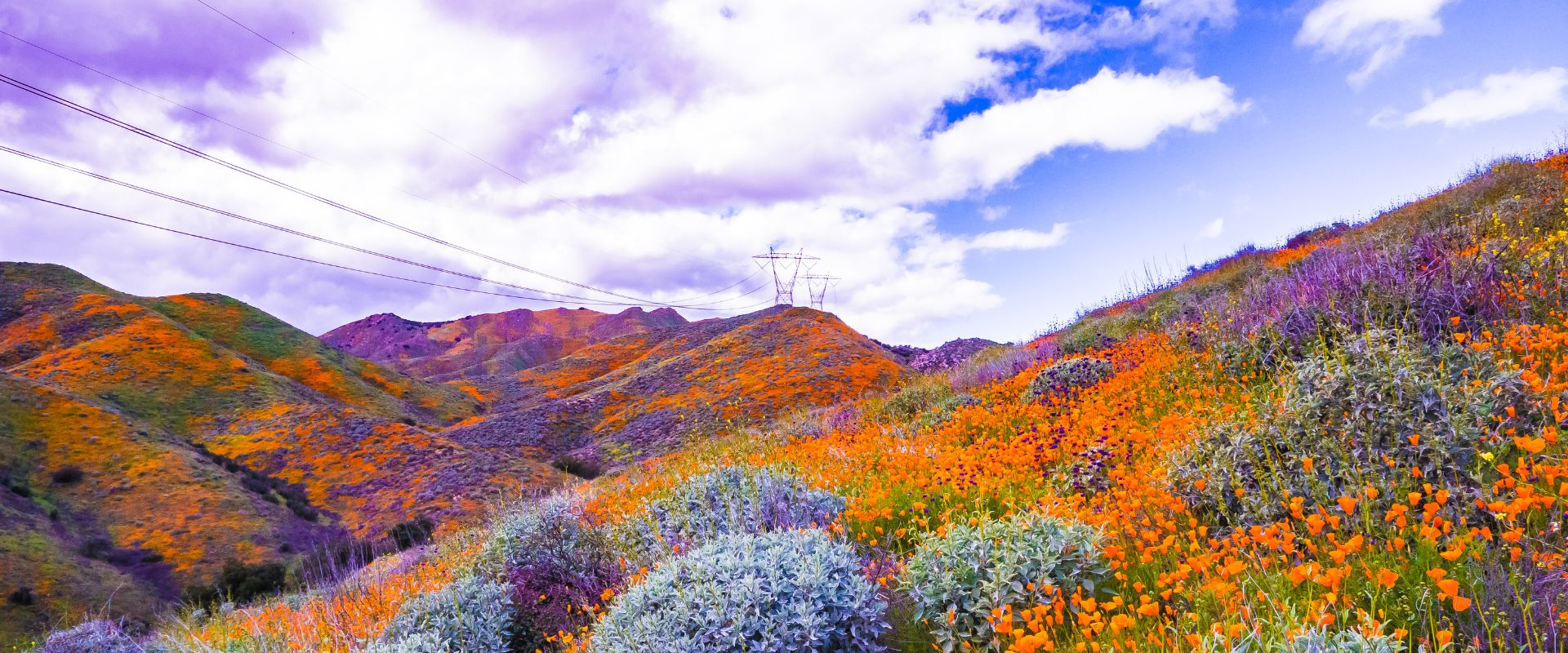 33+ Imagery Examples of the 7 Main Types