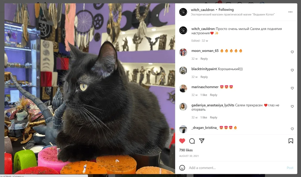 Article illustration