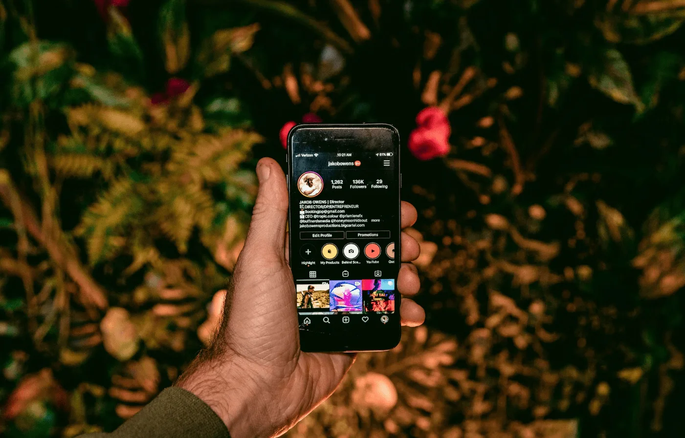 Article illustration