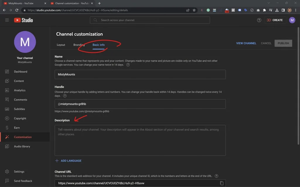 customization channel