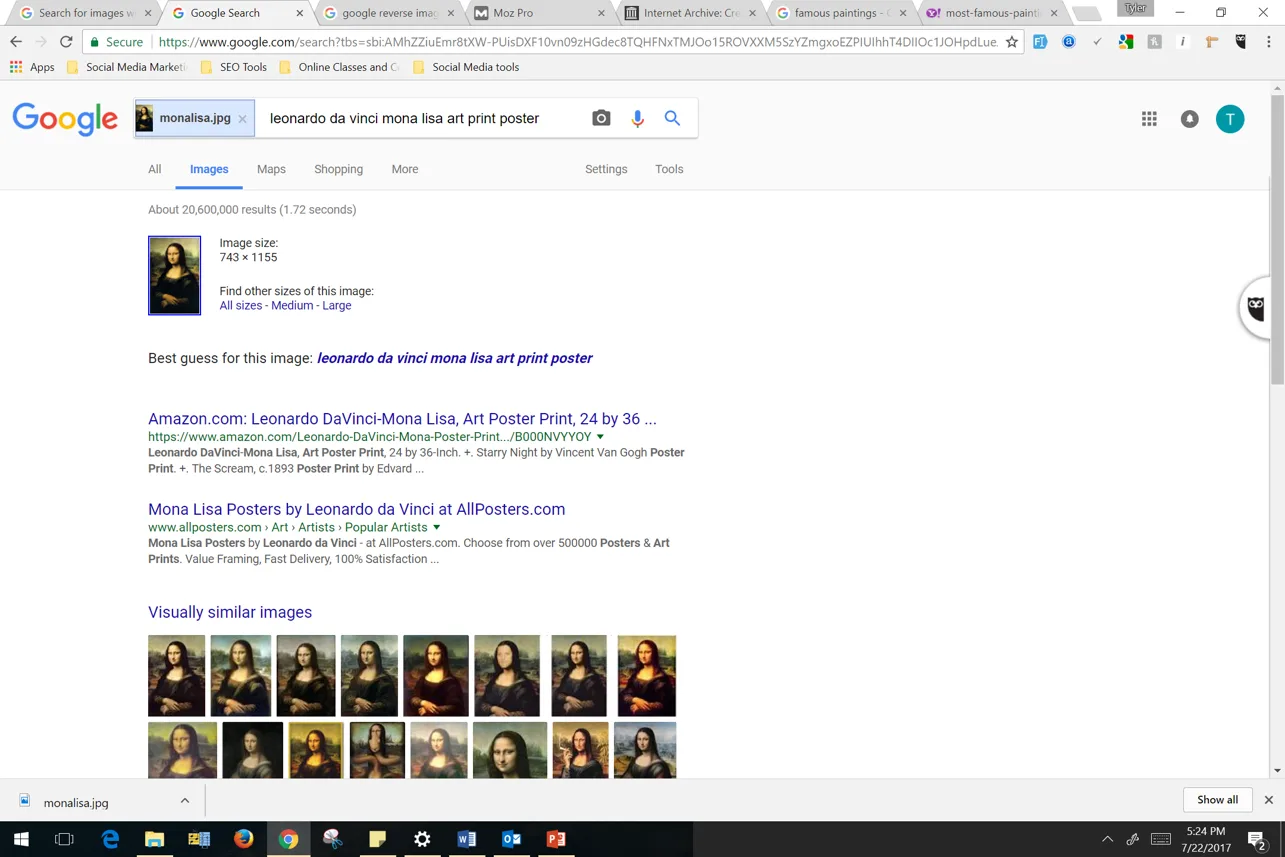 Mona Lisa Picture Example Google