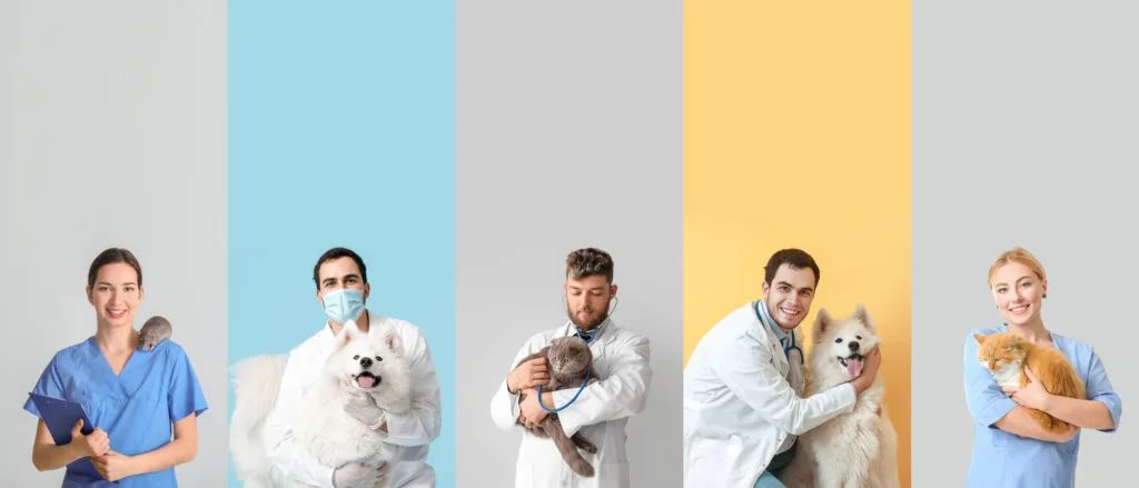 Set of veterinarians with pets on color background