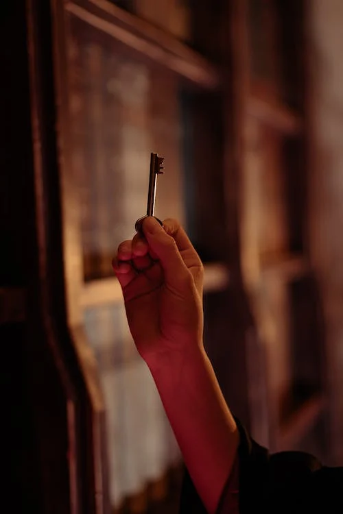 Article illustration