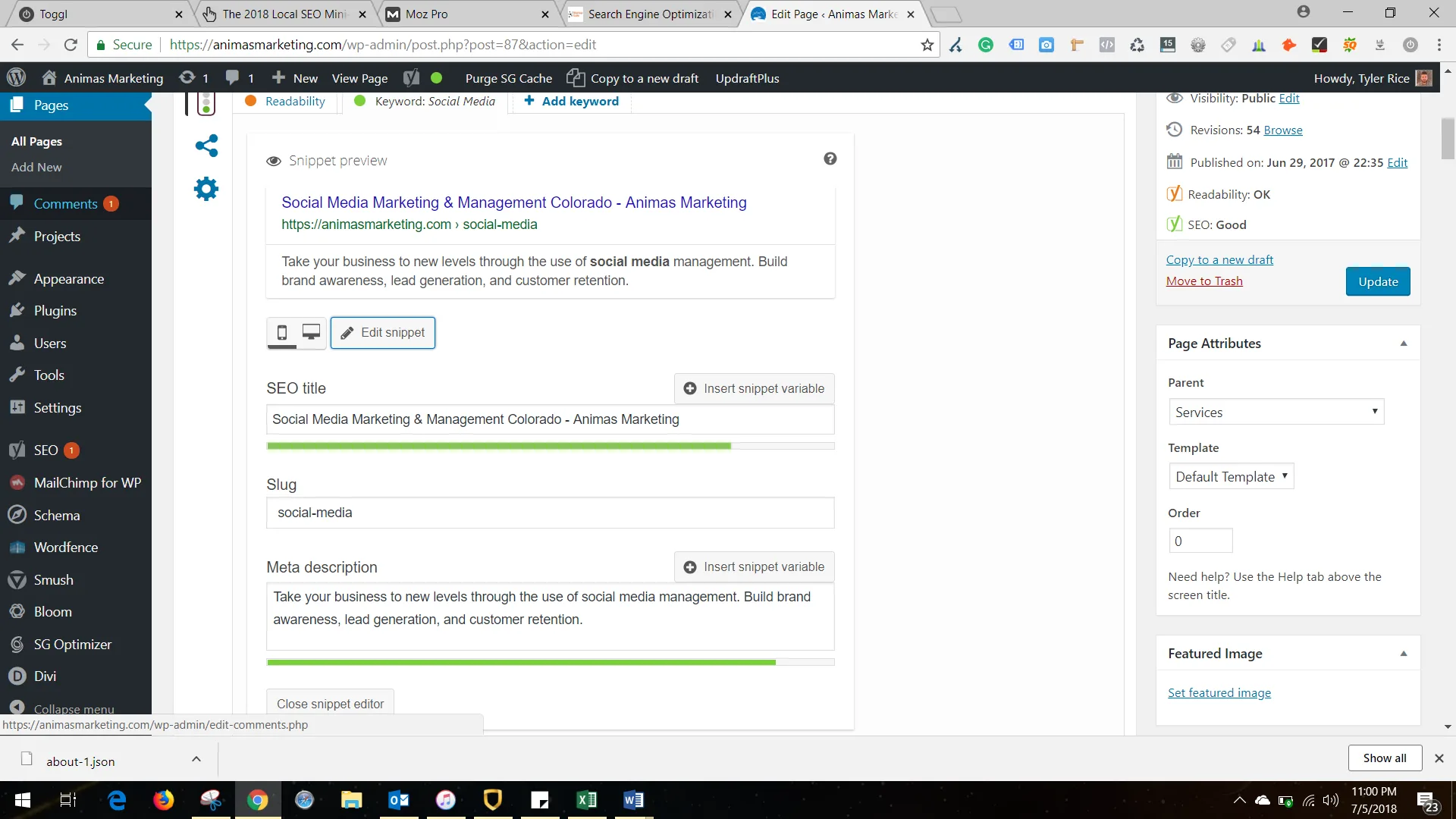 local seo wordpress dummies