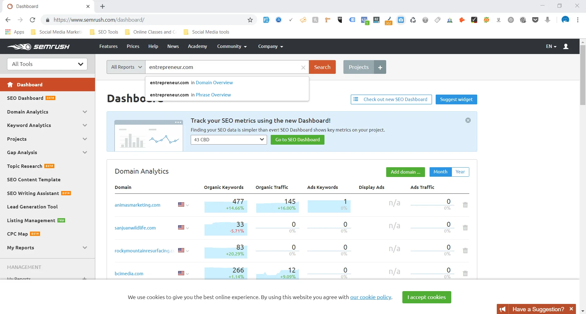 sem rush domain start