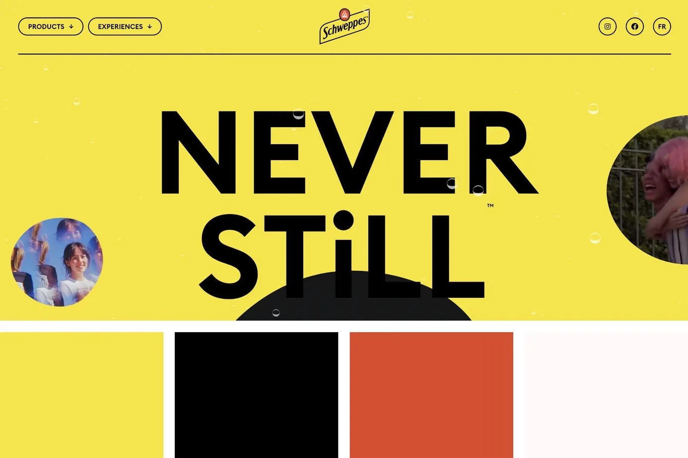 schweppes best website