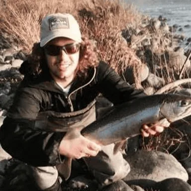 Article illustration