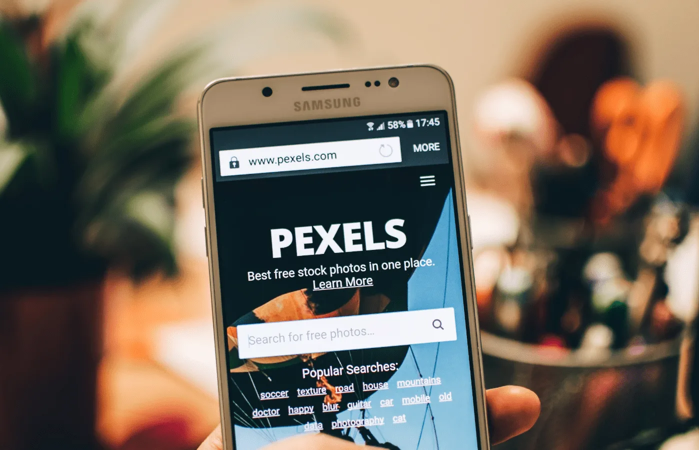 Article illustration