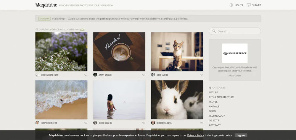 Magdeleine Stock Website