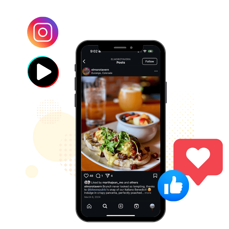 Social media advertising dashboard showing Facebook and Instagram campaign performance for a Colorado business managed by Animas Marketing.